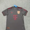 341 Bayern Munich 125th Anniversary - Grey Stealth