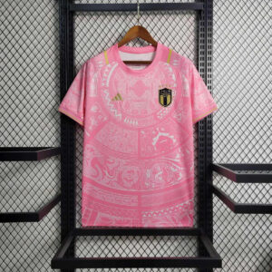 Italy Pink Renaissance Jersey